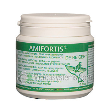 De Reiger Aminfortis, una combinación de aminoácidos esenciales enriquecidos con vitaminas, pro-vitaminas y proteínas, diseñado específicamente para palomas de alta competición