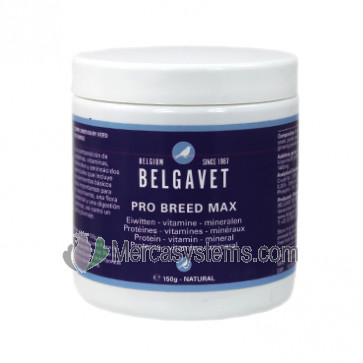 BelgaVet Pro-Breed Max Bird 400gr (proteínas, minerales y vitaminas de alta calidad para la cría) Para Pájaros.