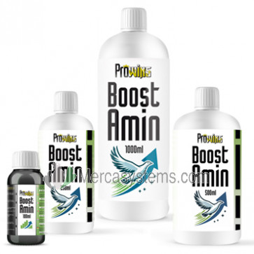 Prowins Boost-Amin