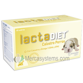 Pharmadiet Lactadiet Calostro Perros 300gr, (Leche maternizada instantánea)