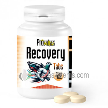 Prowins Recovery Tabs