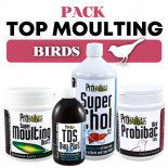 Pack Prowins Top Moulting Birds, (todo comienza con una muda excelente)