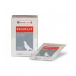 Productos para palomas Versele Laga, recup-lyt electrolitos