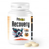 Prowins Recovery Tabs 100 + 25 pastillas GRATIS , (recuperador y energético de efecto instantáneo). Para Palomas de Competición