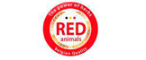 The Red Pigeon