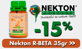 Nekton R Beta